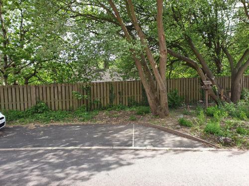 Cheerful 1 Private Room-ensuite With Free Parking