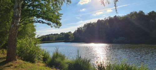 Apartamento Ferienwohnung Ludwigs Hof Miehlen