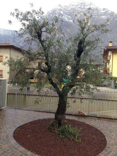 Agroturismo Agritur Ai Masi