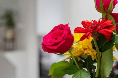 Apartamento Stunning Gem Of Twickenham