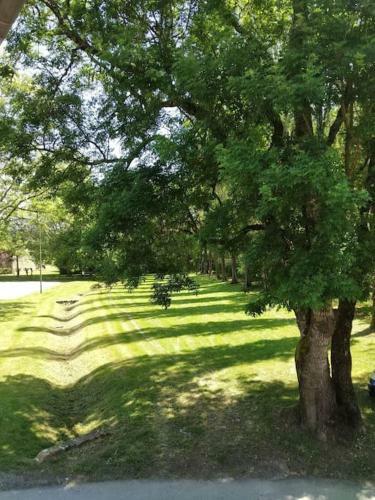 Apartamento Cute 1-bed Cottage With View Across Park.