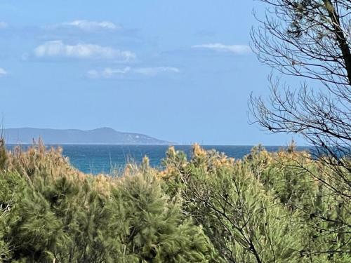 Apartamento Appartement Vue Mer Et Pieds Dans L'eau