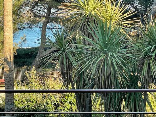 Apartamento Appartement Vue Mer Et Pieds Dans L'eau