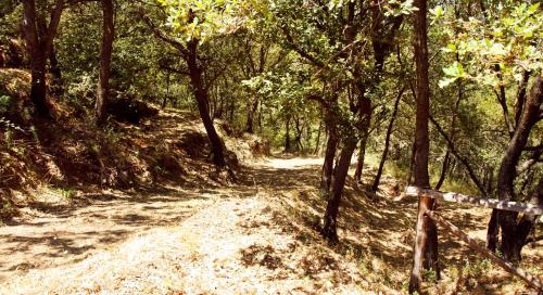 Agroturismo Le Oreadi