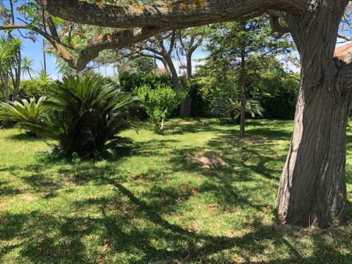 Tenuta Le Muzze 6+ 4 Posti Letto