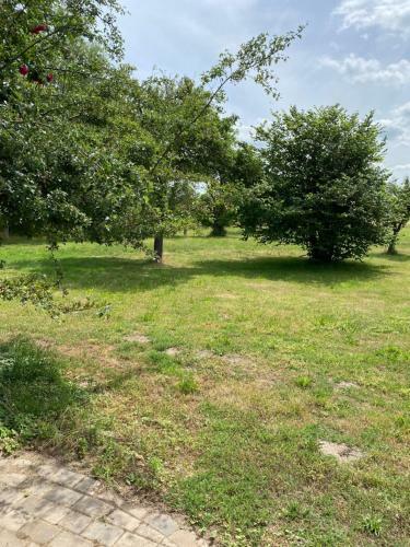 Gem�tliches Ferienhaus An Der Ostsee