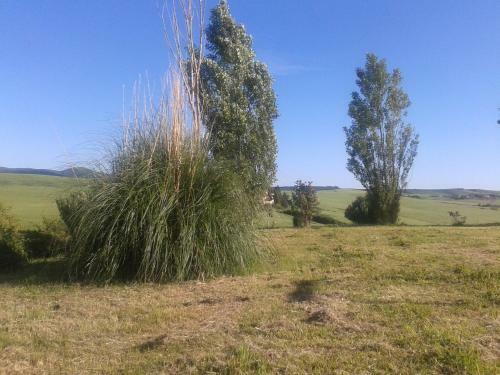 Agroturismo I Greppioli
