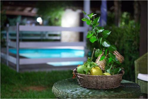 Bed & Breakfast Ai Parchi Dei Parrini