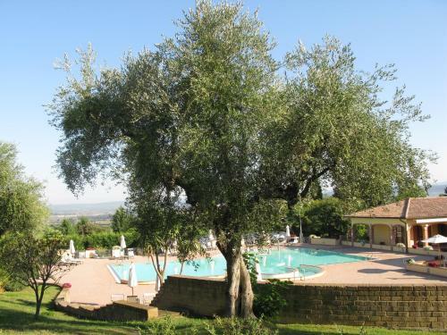 Oasimaremma Village