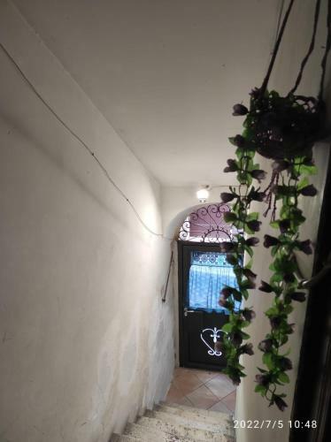 Apartamento La Casetta Di Marie