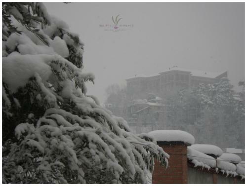 B&B Tre Foglie Di Pesco