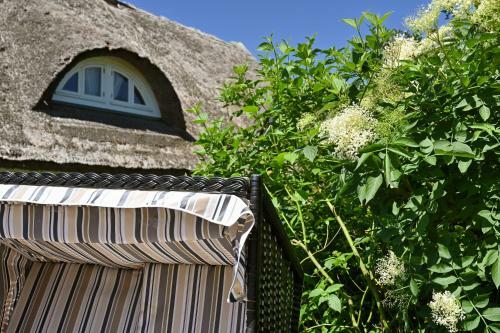 Apartamento Landhaus Vilmnitz - Wohnung 10