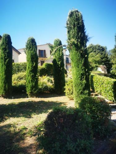 Bed & Breakfast Villa Boncompagni