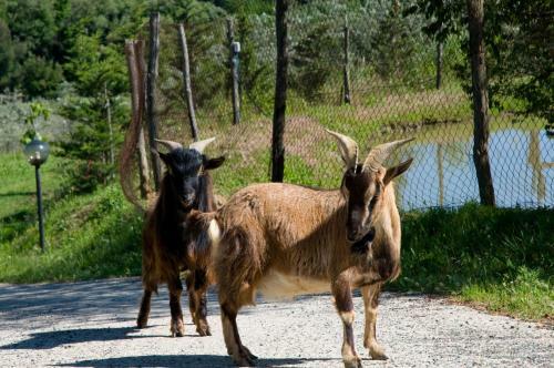 Agroturismo Agriturismo De Santis