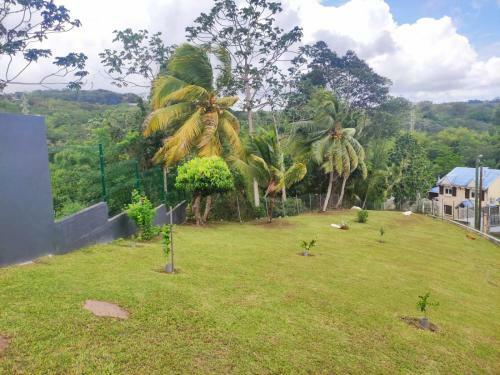 Apartamento Ixora