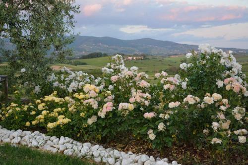 Agroturismo Agriturismo Spazzavento