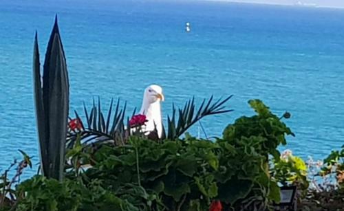 Apartamento Appartement Bord de Mer Et Piscine