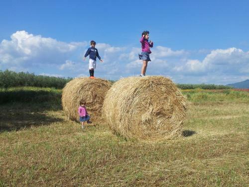 Agroturismo Agriturismo Bicoca