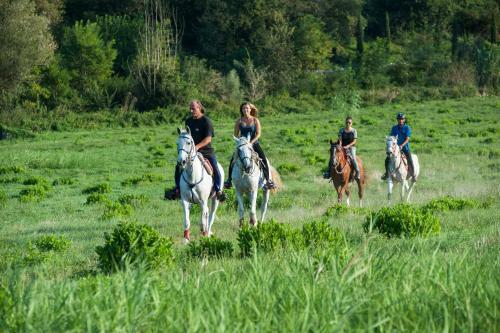 Agroturismo Rustico Del Conero