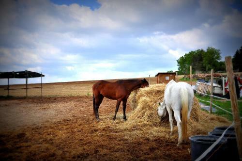 Agroturismo Rustico Del Conero