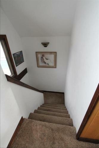Pooches Paradise Location Elk Ave Dog Friendly
