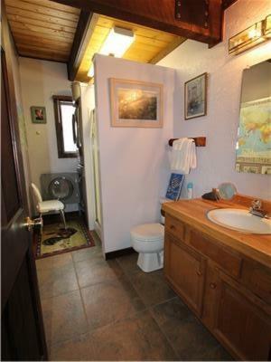 Pooches Paradise Location Elk Ave Dog Friendly