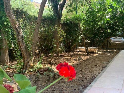 Le Castella Garden Apartment