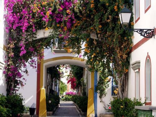 Apartamento Lovely Studio With Private Terrace And Ocean View