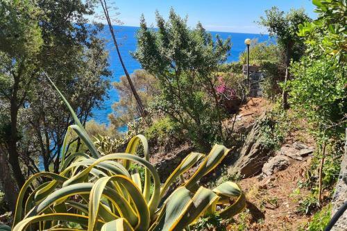 Cokkinis Villa With Beautiful Sea View Total Relax