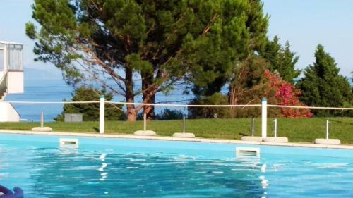 Apartamento Appartamento Con Giardino - Piscina