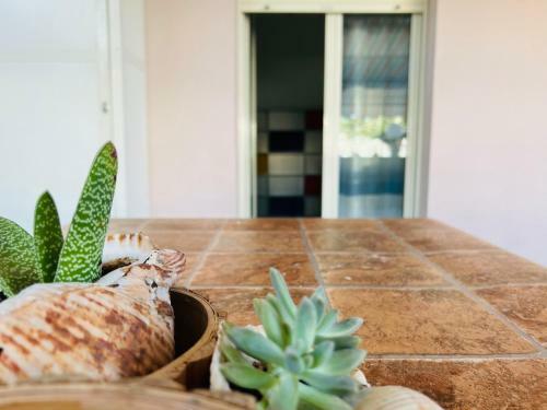 Apartamento Casa Vacanze ? Vasto Marina