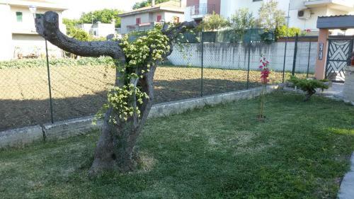 Bed & Breakfast Via Dei Cascella 16