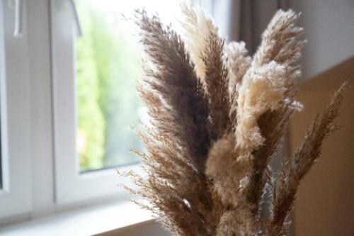 Apartamento Ferienwohnung Mitten In Saarburg