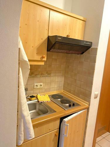 Apartamento Ferienwohnung Sonnenschein
