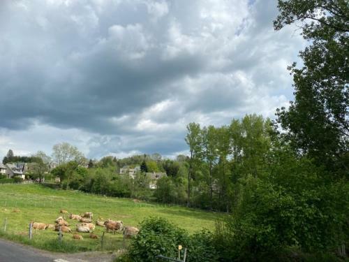 Apartamento Au C?ur de L Aubrac