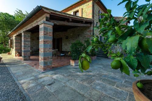 Agroturismo Agriturismo Brolio Quinto