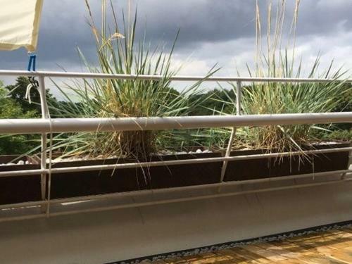 Apartamento Sonnenlounge