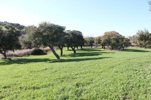 Agroturismo Agriturismo Su Recreu