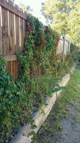 4 Bed Cozy Cowboy Home-weekly Rates! 2 Mi To Post