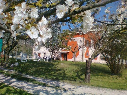 Agroturismo Agriturismo C� Sorci