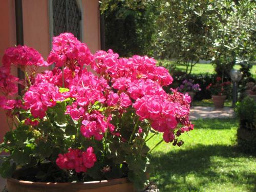 B&B Ai Glicini