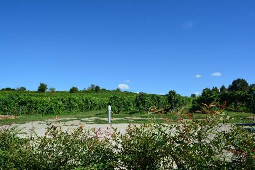 Agroturismo Le Stanze Di Bacco