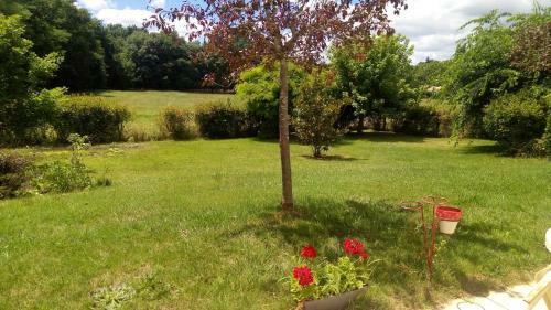 Apartamento H�bergement 4 Personnes Lencouacq