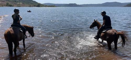 �qui-lodge Avec Spa Au Lac Du Salagou