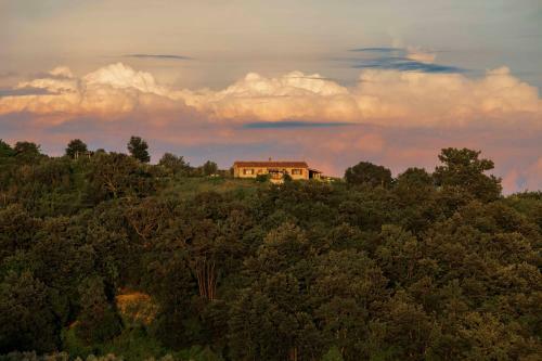 Agroturismo Casetta Tartuchino