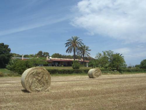 Santa Igia B&B - Country House