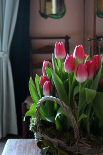 Santa Igia B&B - Country House
