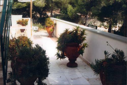 Apartamento Le Macchie Di Nonno Emilio