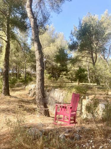 Villa de Charme Avec Piscine Et Jacuzzi Dans Cadre Exceptionnel
