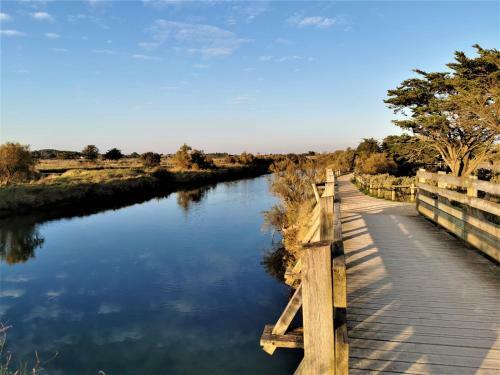 Apartamento Les Dunes - A 150m de La Grande Plage